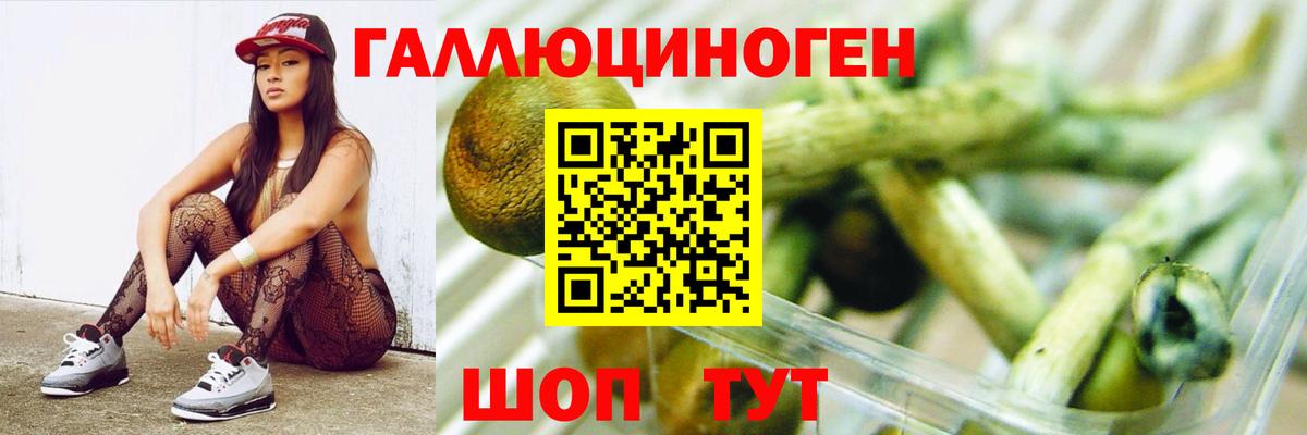 Галлюциногенные грибы Magic Shrooms Гусиноозёрск